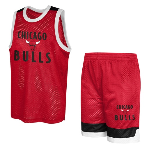 Ensemble Mesh Bulls