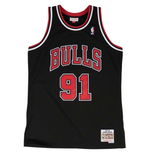 NBA Swingman Bulls Rodman